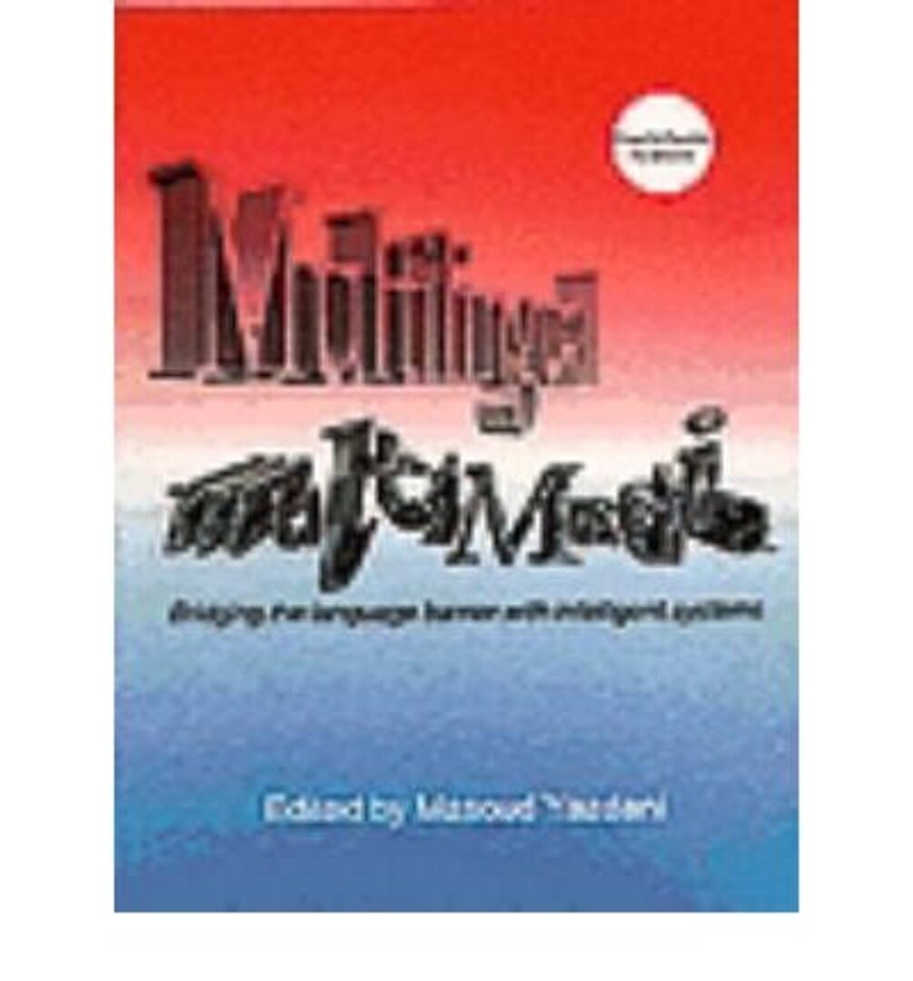 Cover image for Multilingual Multimedia ISBN 9781871516302